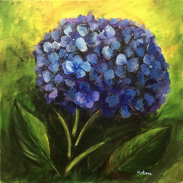 Hortncia - 40 x 40 - AST
